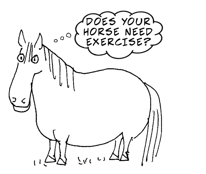 pony cartoon